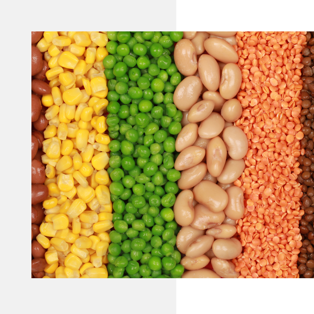 Exporter and Importer of Agri Related Products Like - Non Basmati Rice (Sona masoori), Organic Cold Pressed Edible Oil, and Pigeon Pea (Tur Dal).