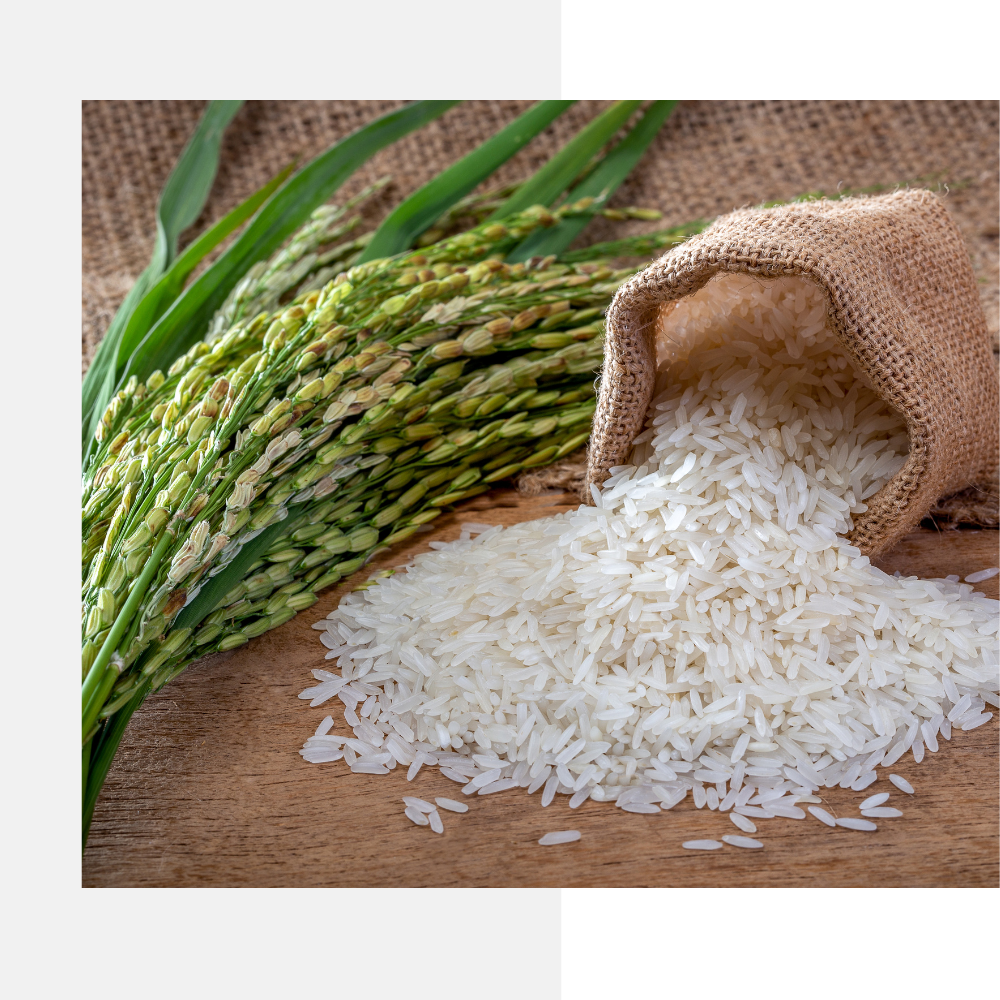 Exporter and Importer of Agri Related Products Like - Non Basmati Rice (Sona masoori), Organic Cold Pressed Edible Oil, and Pigeon Pea (Tur Dal).
